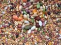 Top 5 loại ngũ cốc cho gà đá bổ dưỡng và thơm ngon nhất 2022