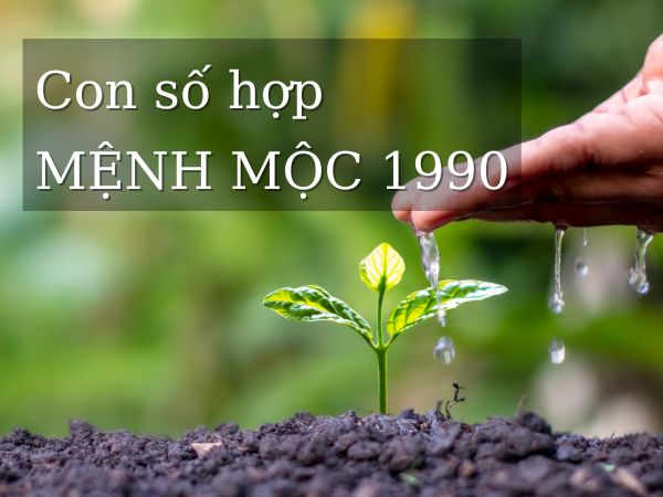 Chi tiết con số hợp mệnh Mộc 1988 cho may mắn nở rộ