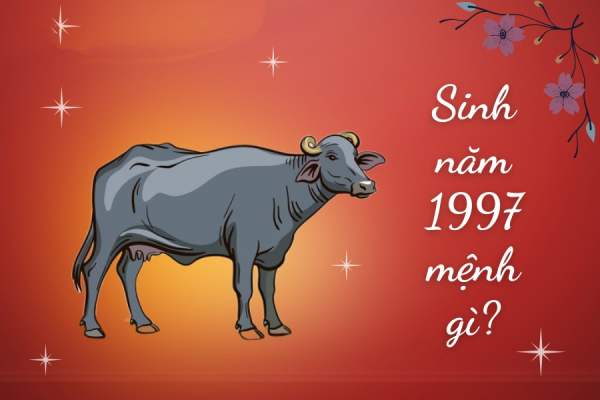 tuổi đinh sửu