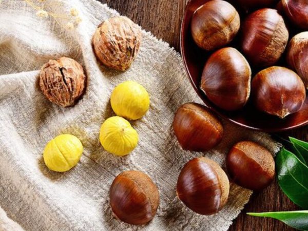 Nằm mơ thấy hạt dẻ có thông điệp gì tốt hay xấu?