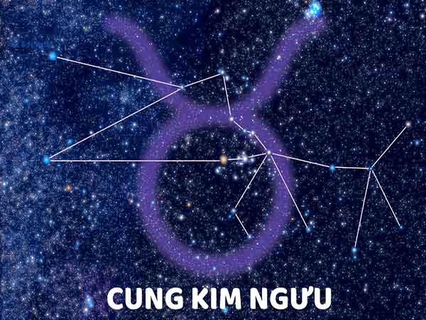 Vài nét về tử vi cung Kim Ngưu hôm nay ngày 29/8/2025 thứ 6
