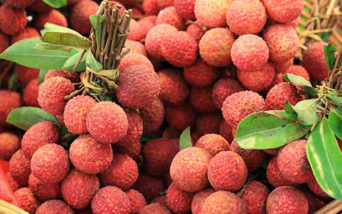  Mơ thấy quả vải bị hỏng