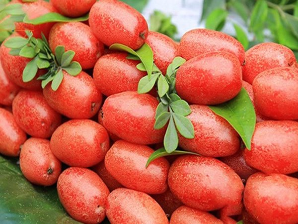 Khám phá điềm báo thú vị khi ngủ mơ thấy quả nhót
