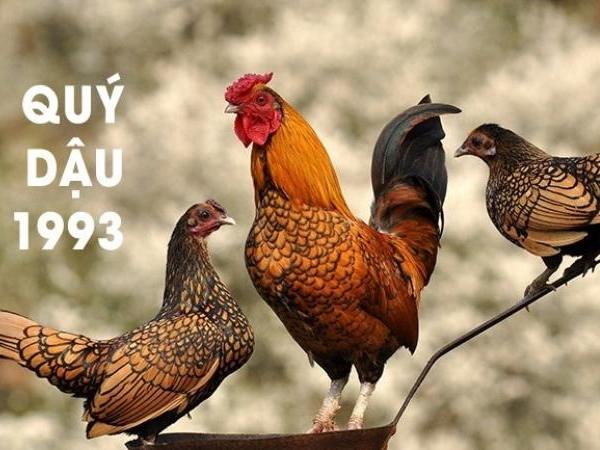 con số may mắn ngày 26/3/2026 tuổi Quý Dậu 1993