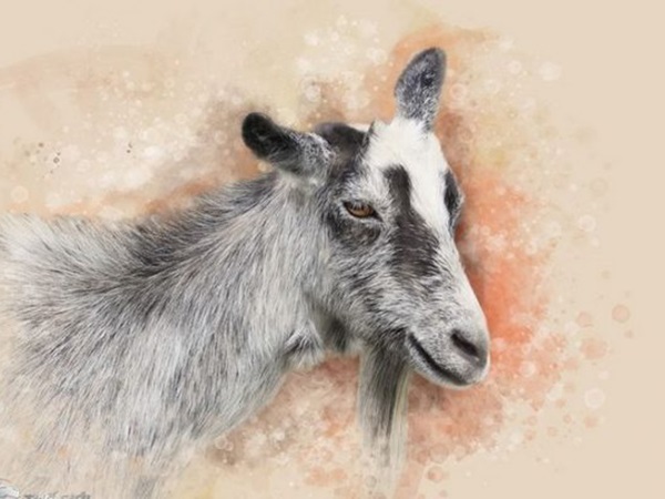 Con số may mắn hôm nay 18/4/2026 thứ 7 của 12 con giáp