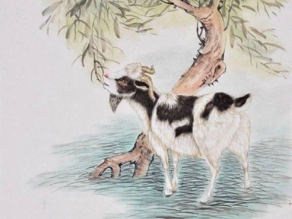 Săn ngay con số may mắn ngày 22/5/2026 tuổi Mùi cực vượng